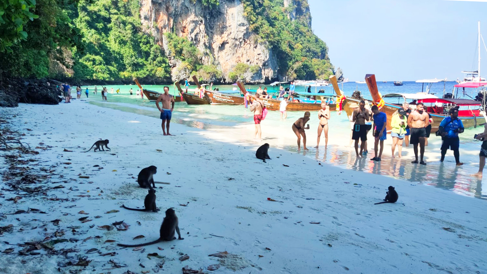 Krabiattractions_Phi_Phi_Islands_4