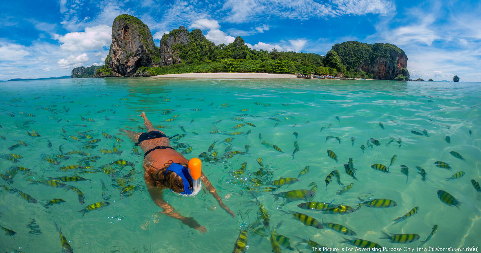 Krabiattractions_poda_island_3