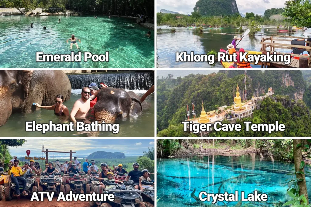 Jungle Tours