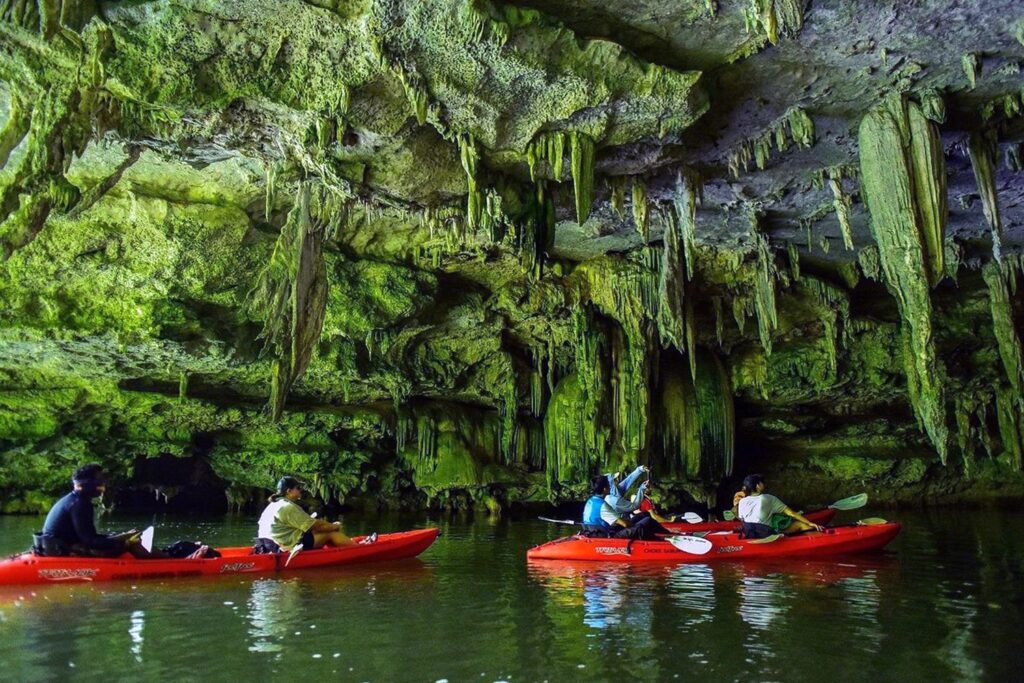 Sea Cave Kayaking Tour
