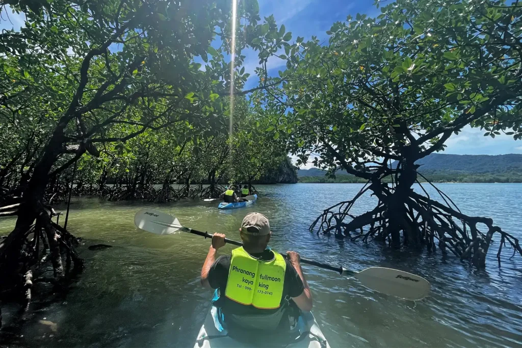 Ao Thalane Kayaking Tour in Krabi, Thailand